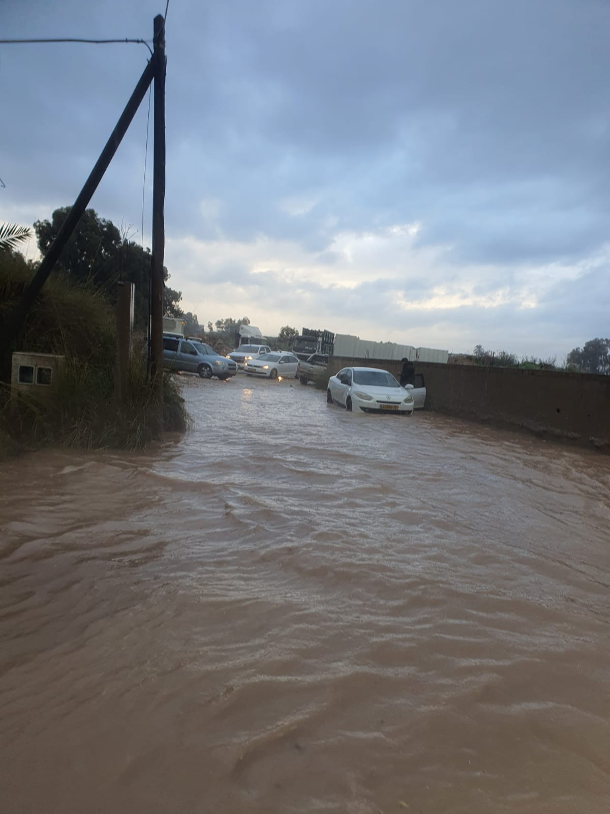 WhatsApp Image 2022-01-16 at 10.31.34 AM (1).jpeg